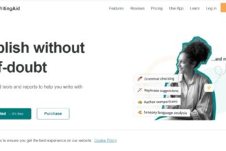 Prowritingaid Ai Review For 2024 : Prices & Features: Most Honest Review