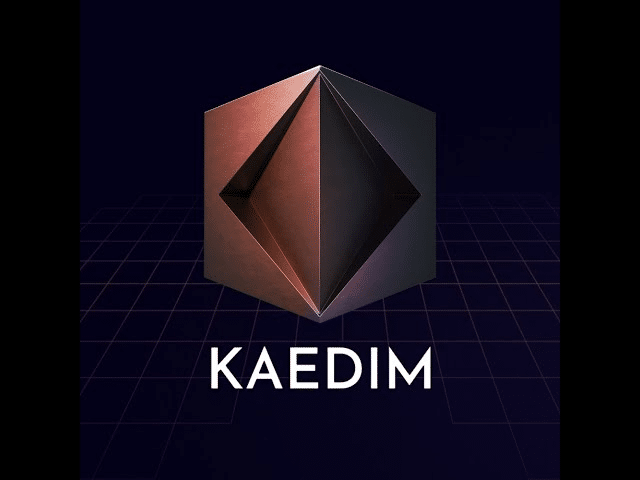 Kaedim Ai