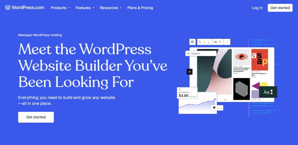 WordPress Best Ai Buider For Shopify